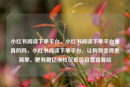 小红书阅读下单平台，小红书阅读下单平台是真的吗	，小红书阅读下单平台，让购物变得更简单、更有趣亿乐社区低价自营货源站  第1张
