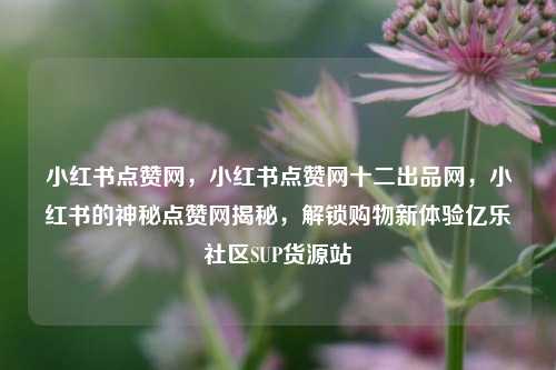 小红书点赞网	，小红书点赞网十二出品网，小红书的神秘点赞网揭秘，解锁购物新体验亿乐社区SUP货源站  第1张