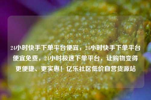 24小时快手下单平台便宜，24小时快手下单平台便宜免费，24小时极速下单平台	，让购物变得更便捷	、更实惠！亿乐社区低价自营货源站  第1张