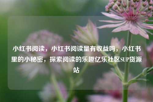 小红书阅读，小红书阅读量有收益吗，小红书里的小秘密，探索阅读的乐趣亿乐社区SUP货源站  第1张