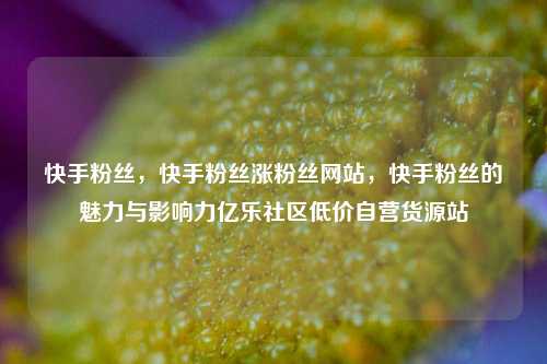 快手粉丝	，快手粉丝涨粉丝网站，快手粉丝的魅力与影响力亿乐社区低价自营货源站  第1张