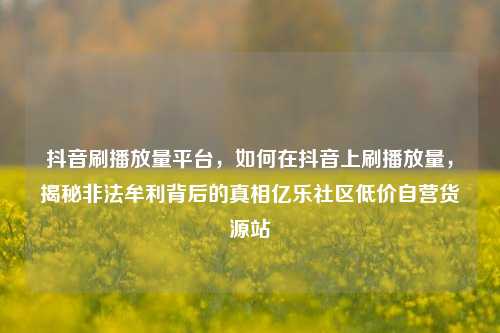 抖音刷播放量平台，如何在抖音上刷播放量，揭秘非法牟利背后的真相亿乐社区低价自营货源站  第1张