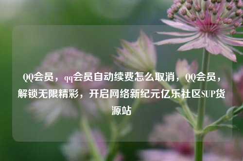 QQ会员，qq会员自动续费怎么取消，QQ会员	，解锁无限精彩，开启网络新纪元亿乐社区SUP货源站  第1张