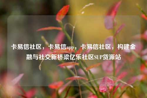 卡易信社区，卡易信app	，卡易信社区，构建金融与社交新桥梁亿乐社区SUP货源站  第1张