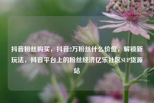 抖音粉丝购买，抖音2万粉丝什么价位	，解锁新玩法，抖音平台上的粉丝经济亿乐社区SUP货源站  第1张