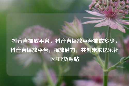 抖音直播放平台，抖音直播放平台抽成多少	，抖音直播放平台，释放潜力，共创未来亿乐社区SUP货源站  第1张