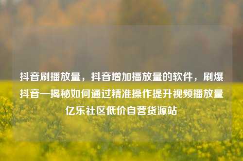 抖音刷播放量，抖音增加播放量的软件	，刷爆抖音—揭秘如何通过精准操作提升视频播放量亿乐社区低价自营货源站  第1张
