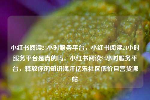 小红书阅读24小时服务平台	，小红书阅读24小时服务平台是真的吗，小红书阅读24小时服务平台，释放你的知识海洋亿乐社区低价自营货源站  第1张