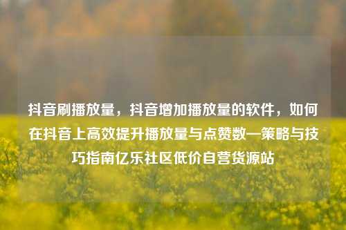 抖音刷播放量，抖音增加播放量的软件	，如何在抖音上高效提升播放量与点赞数—策略与技巧指南亿乐社区低价自营货源站  第1张