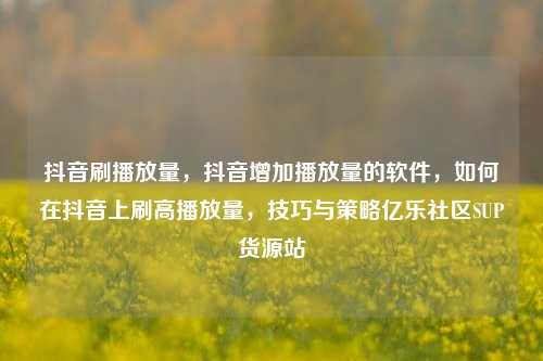 抖音刷播放量，抖音增加播放量的软件，如何在抖音上刷高播放量	，技巧与策略亿乐社区SUP货源站  第1张