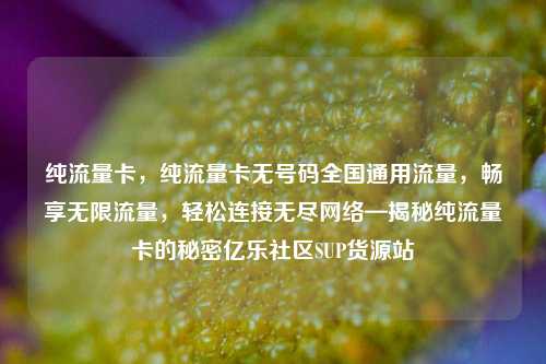 纯流量卡，纯流量卡无号码全国通用流量，畅享无限流量	，轻松连接无尽网络—揭秘纯流量卡的秘密亿乐社区SUP货源站  第1张