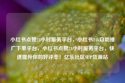 小红书点赞24小时服务平台	，小红书24h自助推广下单平台，小红书点赞24小时服务平台，快速提升你的好评率！亿乐社区SUP货源站  第1张
