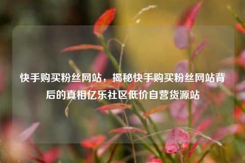 快手购买粉丝网站	，揭秘快手购买粉丝网站背后的真相亿乐社区低价自营货源站  第1张