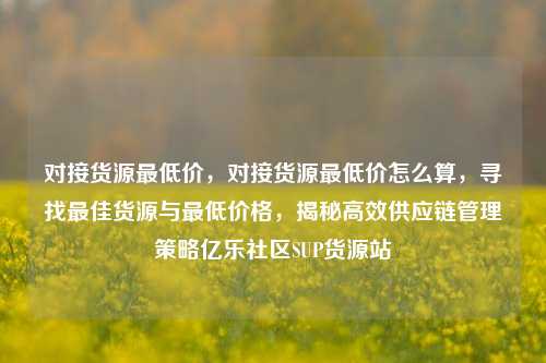 对接货源最低价	，对接货源最低价怎么算，寻找最佳货源与最低价格，揭秘高效供应链管理策略亿乐社区SUP货源站  第1张
