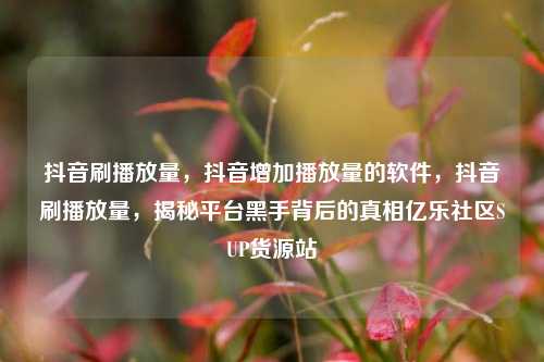 抖音刷播放量，抖音增加播放量的软件	，抖音刷播放量，揭秘平台黑手背后的真相亿乐社区SUP货源站  第1张