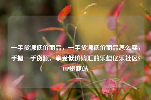 一手货源低价商品，一手货源低价商品怎么卖	，手握一手货源，享受低价购汇的乐趣亿乐社区SUP货源站  第1张