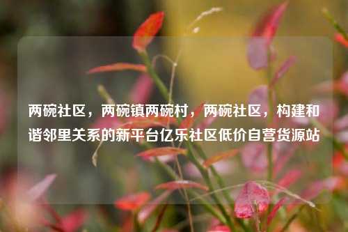 两碗社区	，两碗镇两碗村，两碗社区，构建和谐邻里关系的新平台亿乐社区低价自营货源站  第1张