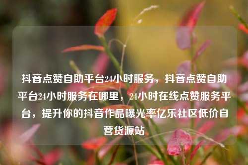 抖音点赞自助平台24小时服务	，抖音点赞自助平台24小时服务在哪里，24小时在线点赞服务平台，提升你的抖音作品曝光率亿乐社区低价自营货源站  第1张