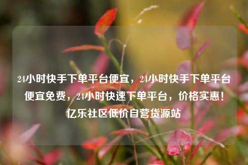 24小时快手下单平台便宜，24小时快手下单平台便宜免费	，24小时快速下单平台，价格实惠！亿乐社区低价自营货源站  第1张