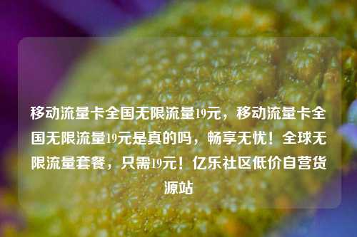 移动流量卡全国无限流量19元	，移动流量卡全国无限流量19元是真的吗，畅享无忧！全球无限流量套餐，只需19元！亿乐社区低价自营货源站  第1张