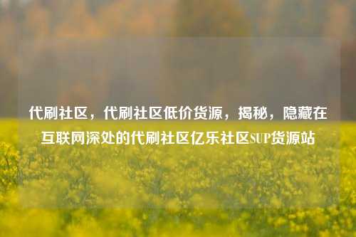 代刷社区	，代刷社区低价货源，揭秘，隐藏在互联网深处的代刷社区亿乐社区SUP货源站  第1张