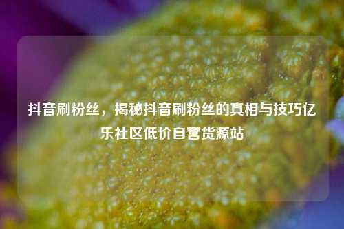 抖音刷粉丝，揭秘抖音刷粉丝的真相与技巧亿乐社区低价自营货源站  第1张