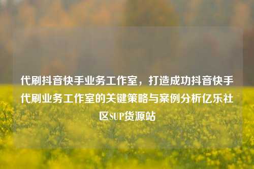 代刷抖音快手业务工作室	，打造成功抖音快手代刷业务工作室的关键策略与案例分析亿乐社区SUP货源站  第1张