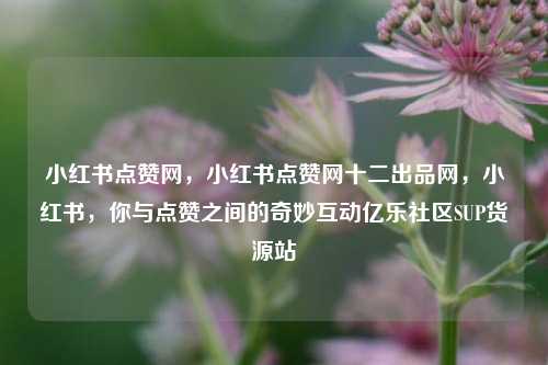 小红书点赞网，小红书点赞网十二出品网，小红书	，你与点赞之间的奇妙互动亿乐社区SUP货源站  第1张
