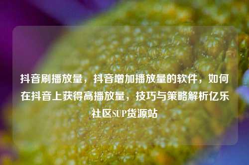 抖音刷播放量，抖音增加播放量的软件，如何在抖音上获得高播放量	，技巧与策略解析亿乐社区SUP货源站  第1张