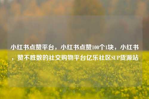 小红书点赞平台，小红书点赞100个1块	，小红书，赞不胜数的社交购物平台亿乐社区SUP货源站  第1张