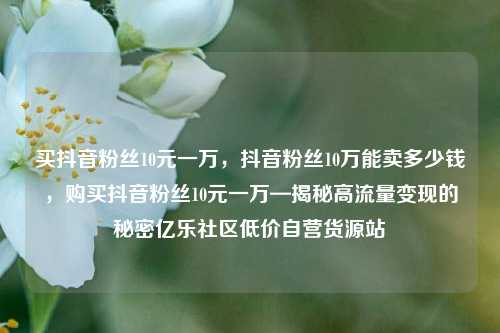 买抖音粉丝10元一万	，抖音粉丝10万能卖多少钱，购买抖音粉丝10元一万—揭秘高流量变现的秘密亿乐社区低价自营货源站  第1张