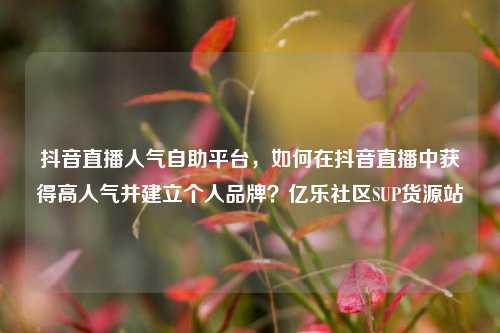 抖音直播人气自助平台，如何在抖音直播中获得高人气并建立个人品牌？亿乐社区SUP货源站  第1张