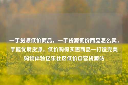 一手货源低价商品	，一手货源低价商品怎么卖，手握优质货源，低价购得实惠商品—打造完美购物体验亿乐社区低价自营货源站  第1张