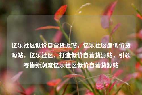 亿乐社区低价自营货源站，亿乐社区最低价货源站	，亿乐社区，打造低价自营货源站，引领零售新潮流亿乐社区低价自营货源站  第1张