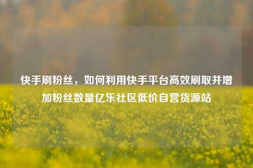 快手刷粉丝，如何利用快手平台高效刷取并增加粉丝数量亿乐社区低价自营货源站  第1张