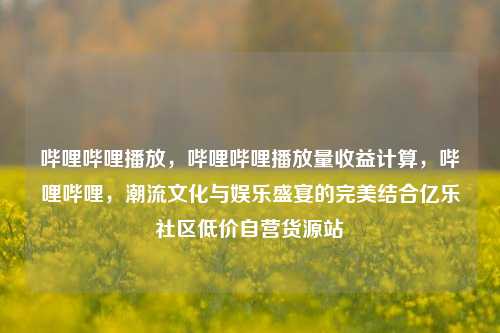 哔哩哔哩播放	，哔哩哔哩播放量收益计算，哔哩哔哩，潮流文化与娱乐盛宴的完美结合亿乐社区低价自营货源站  第1张