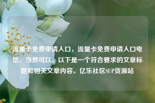 流量卡免费申请入口，流量卡免费申请入口电信，当然可以。以下是一个符合要求的文章标题和相关文章内容。亿乐社区SUP货源站  第1张