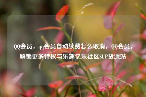 QQ会员，qq会员自动续费怎么取消	，QQ会员，解锁更多特权与乐趣亿乐社区SUP货源站  第1张
