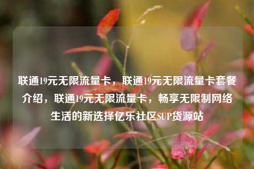 联通19元无限流量卡	，联通19元无限流量卡套餐介绍，联通19元无限流量卡，畅享无限制网络生活的新选择亿乐社区SUP货源站  第1张
