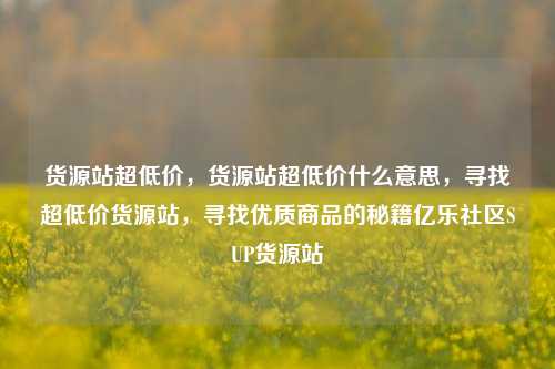 货源站超低价，货源站超低价什么意思，寻找超低价货源站，寻找优质商品的秘籍亿乐社区SUP货源站  第1张