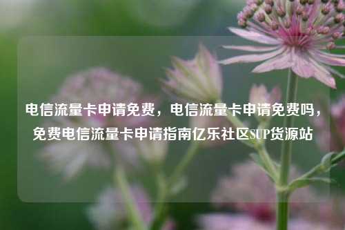 电信流量卡申请免费，电信流量卡申请免费吗，免费电信流量卡申请指南亿乐社区SUP货源站  第1张