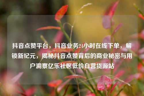 抖音点赞平台，抖音业务24小时在线下单，解锁新纪元	，揭秘抖音点赞背后的商业秘密与用户洞察亿乐社区低价自营货源站  第1张