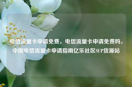 电信流量卡申请免费，电信流量卡申请免费吗	，中国电信流量卡申请指南亿乐社区SUP货源站  第1张