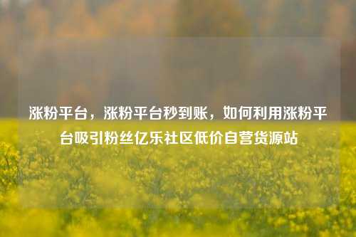 涨粉平台，涨粉平台秒到账，如何利用涨粉平台吸引粉丝亿乐社区低价自营货源站  第1张