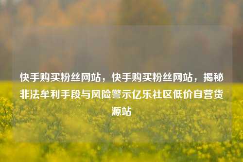快手购买粉丝网站，快手购买粉丝网站，揭秘非法牟利手段与风险警示亿乐社区低价自营货源站  第1张