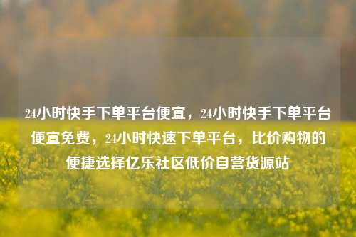 24小时快手下单平台便宜，24小时快手下单平台便宜免费	，24小时快速下单平台，比价购物的便捷选择亿乐社区低价自营货源站  第1张