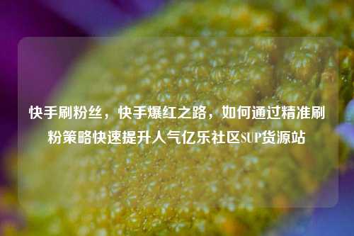 快手刷粉丝	，快手爆红之路，如何通过精准刷粉策略快速提升人气亿乐社区SUP货源站  第1张
