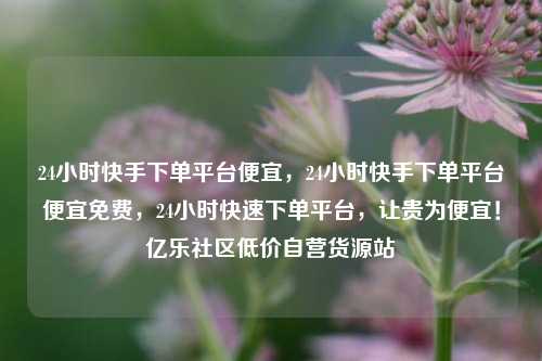 24小时快手下单平台便宜，24小时快手下单平台便宜免费，24小时快速下单平台	，让贵为便宜！亿乐社区低价自营货源站  第1张