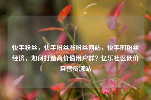 快手粉丝，快手粉丝涨粉丝网站，快手的粉丝经济	，如何打造高价值用户群？亿乐社区低价自营货源站  第1张