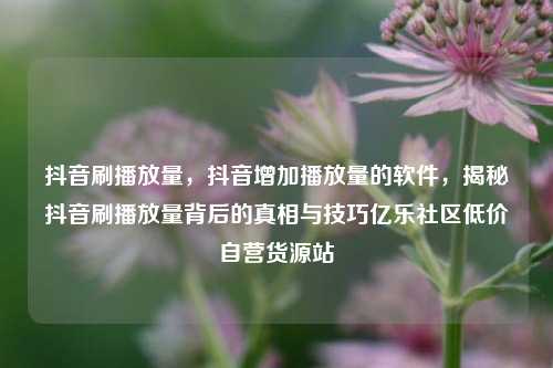 抖音刷播放量	，抖音增加播放量的软件，揭秘抖音刷播放量背后的真相与技巧亿乐社区低价自营货源站  第1张